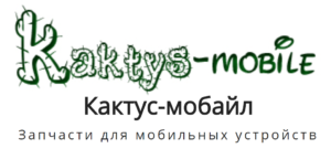 Кактусмобайл - прямое интервью с поставщиком запчастей к планшетам и телефонам!