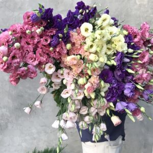 Як купити квіти оптом: Корисні поради для бізнесу