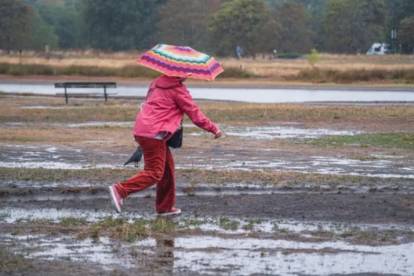 Обов'язкове джерело: Фото Амера Газзала/Shutterstock (15461564b) Пішохід з парасолькою, незважаючи на вологі умови під час зливи на заболоченому Вімблдонському парку, південно-західний Лондон, цього ранку. Метеорологічна служба оголосила жовте попередження або дощ у деяких частинах Англії через ураган Ерін, що рухається з Атлантики. Сезонна погода, Вімблдон, Лондон, Велика Британія - 29 серпня 2025 року.