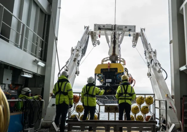 Хижа губка «Куля смерті» серед 30 нових глибоководних видів з Південного океану Оксфорд, Велика Британія - [29 жовтня 2025 р.] - Тридцять раніше невідомих глибоководних видів, включаючи хижу губку «куля смерті», були підтверджені в одному з найвіддаленіших куточків планети Фондом Ніппон, Nekton Ocean Census та його колегами. Відкриття відбулися після двох дослідницьких круїзів 2025 року з Інститутом океану Шмідта та були підтверджені на семінарі з відкриття видів Південного океану, організованому Університетом Магальянес, Пунта-Аренас, Чилі (серпень 2025 р.). Наближається Хелловін, і одним з найцікавіших відкриттів стала нова хижа губка (Chondrocladia sp. nov.). Її сферична форма вкрита крихітними гачками, які ловлять здобич, що чітко контрастує з ніжним, пасивним фільтраційним харчуванням, яке здійснює більшість губок. Також спостерігалися «зомбі-черв'яки» (Osedax sp.). Хоча це й не вважається новим для науки, ці черви не мають рота чи кишечника та покладаються на симбіотичні бактерії для розщеплення жирів у кістках китів та інших великих хребетних.