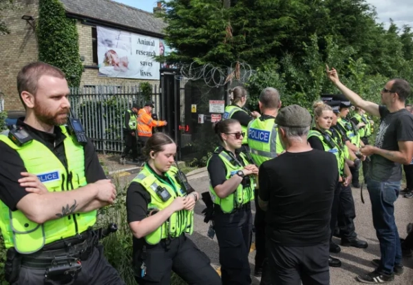Обов'язкове джерело: Фото Мартіна Поупа/SOPA Images/Shutterstock (14530763ae) Протестувальник показує образливий жест рукою в бік робітників перед поліцейськими, поки охоронці відчиняють ворота, намагаючись випустити робітників з фабрики під час демонстрації. Протестувальники заблокували єдині вхідні ворота, щоб не допустити виходу робітників, намагаючись зірвати роботу. Вони вимагають, щоб американська компанія Marshal BioResources (MBR) Acres, ферма з вирощування біглів, яка постачає цуценят для лабораторій з тестування на тваринах, закрилася. Майже три роки тому протестувальники створили «Табір Бігль» – протестний табір, щоб чинити тиск на MBR – прямо біля ферми з вирощування цуценят. Протестувальники також вимагали від уряду припинити тестування на тваринах у лабораторіях. Протестувальники за права тварин блокують MBR Acres у Гантінгдоні, Велика Британія – 8 червня 2024 року.