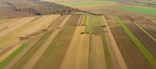 Ринок землі в Україні перейшов до стабільної та прогнозованої моделі розвитку в 2025 році - Мінекономіки