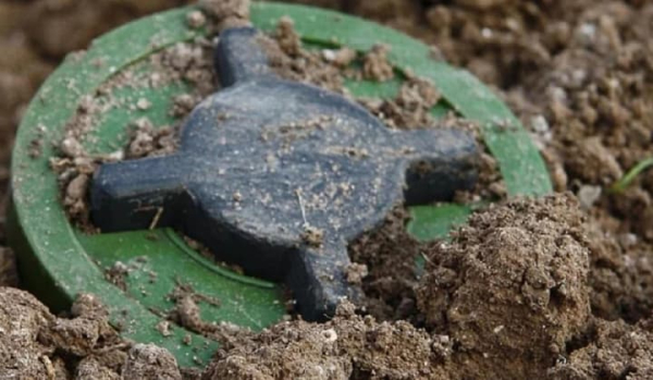 Польща заявляє про вихід з Оттавського договору для запуску національного виготовлення протипіхотних мін.