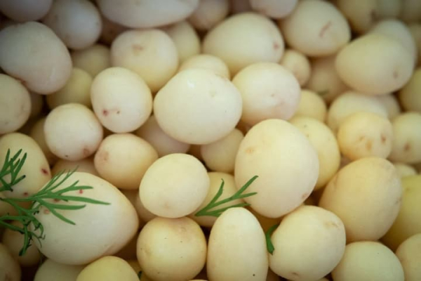 Зростання цін на українську картоплю набирає обертів.