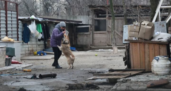 Удар росії по Запоріжжю: постраждав притулок для собак
