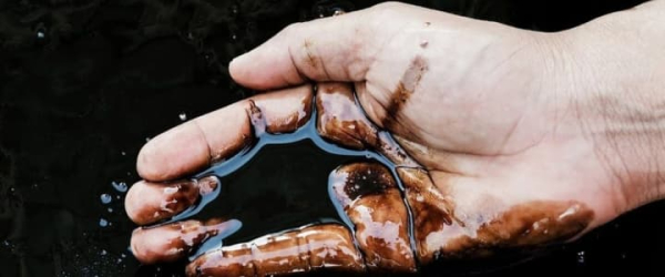 Ціни на нафту падають на тлі розрядки напруженості на Близькому Сході між США та Іраном