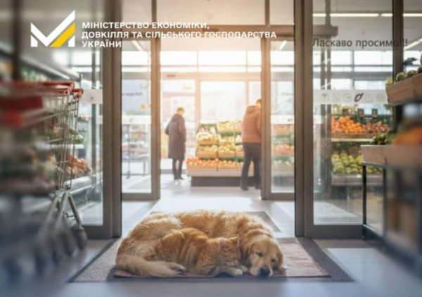 Мінекономіки розповіло як бізнесу допомагати безпритульним тваринам під час морозів без порушення норм