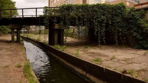 Фінальне рішення суду: незаконні автомийку та шиномонтаж біля річки Либідь у Києві буде демонтовано.