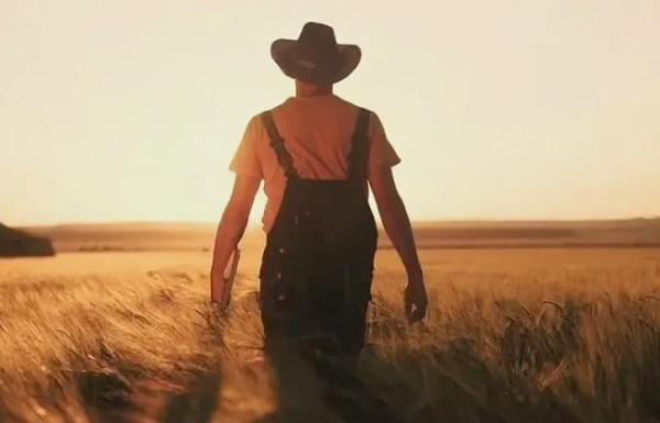 Як жайворонків зробити совами? Трансфігурація російською