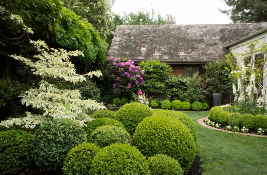 Мистецтво вирощування саду