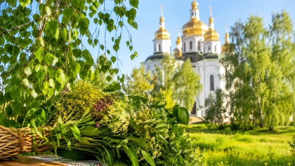 Могила на кладовищі, прикрашена квітами