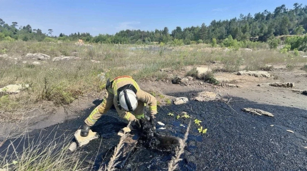 Рятувальники на Рівненщині витягли собаку з глибокої ями зі смолою