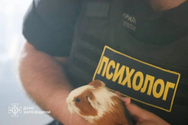 Харківський зоопарк зазнав удару: загинули тварини