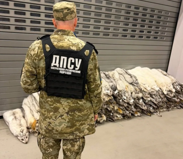Запобігли контрабанді елітного хутра: на кордоні зупинили партію на 400 тисяч гривень