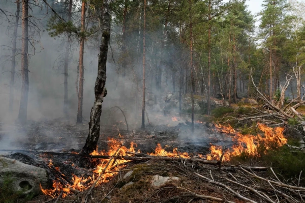 У Парижі затримали чоловіка за спробу підпалити один із найбільших міських парків