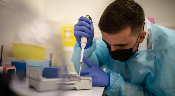 В Австралії зафіксовано перше зараження грипом H5N1 дикого морського птаха