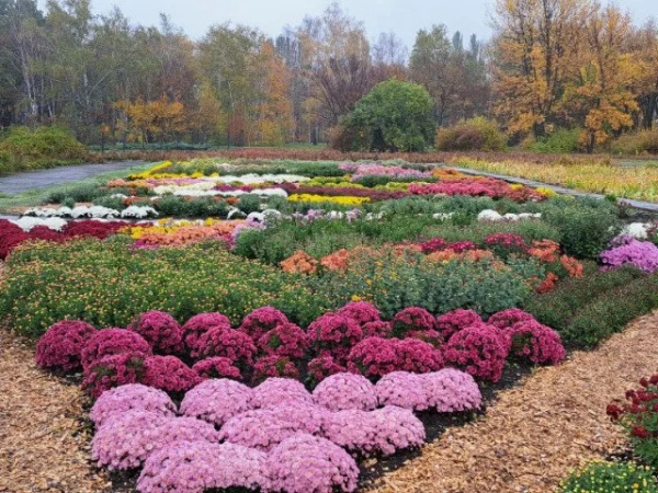 Криворізький ботанічний сад