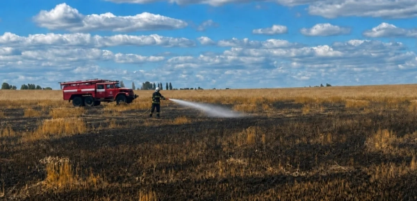 Окупанти підпалили пшеницю на Житомирщині: наслідки атаки