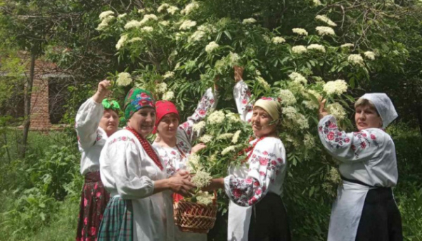 На городі бузина - на столі бузинник На городі бузина - на столі бузинник