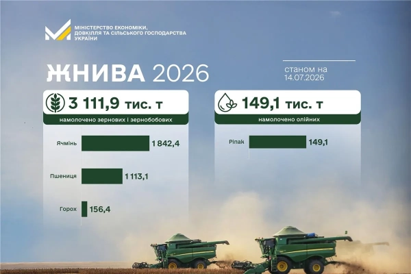 Збір врожаю ріпаку в Україні