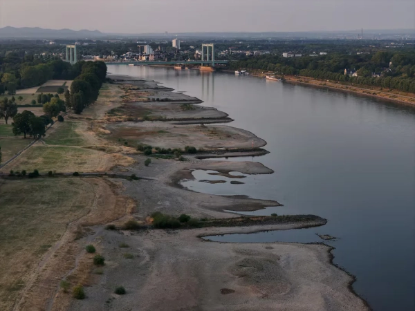 Рейн у Німеччині пересох: рівень води досяг рекордного дна