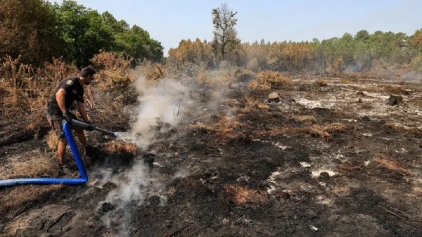 Франція бореться з вогнем: понад 400 затриманих за лісові підпали