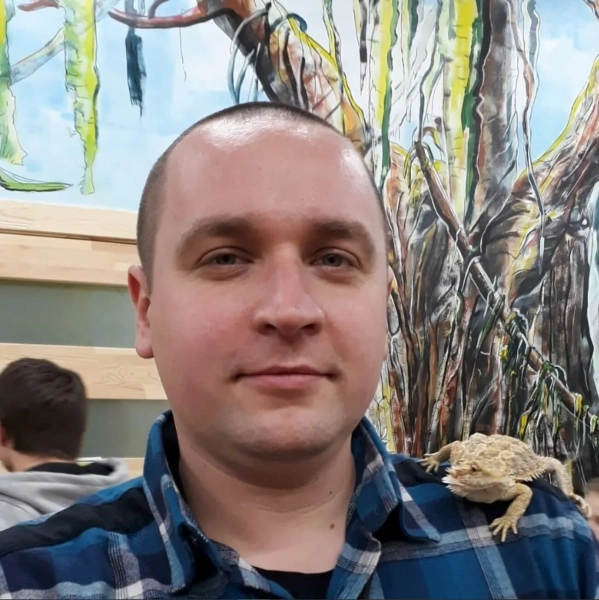 Threads: Користувачі засудили погрози в бік безпритульних тварин, вимагаючи відповідальності.