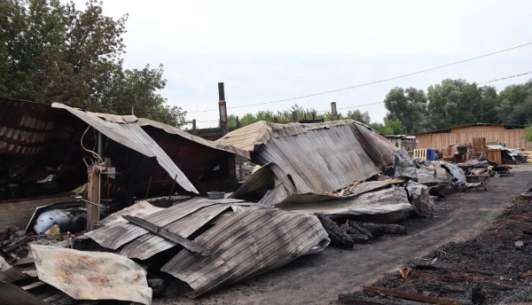 На Київщині вогонь знищив притулок: трагічно загинули тварини