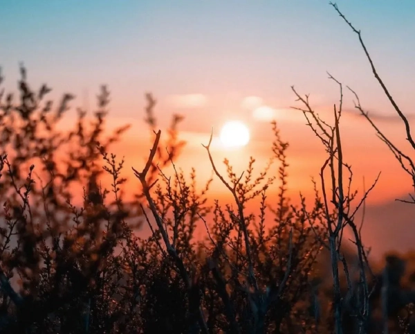 3 серпня: Україну накриє хвиля спеки до 38°C та грозові зливи
