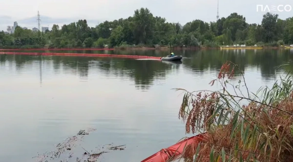Кирилівське озеро в Києві знову потерпає від забруднення після ворожих атак