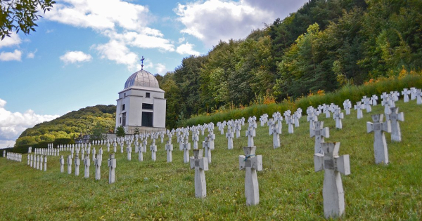 сео броди