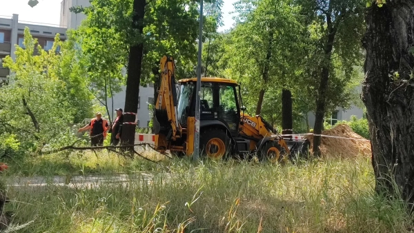 Прокладання тепломережі крізь парк Києва: активісти проти комунальників.