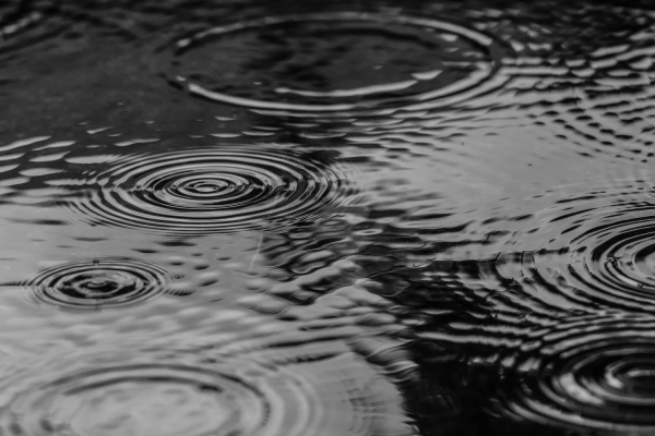 Дністровське водосховище: рекордне зниження рівня води вражає – прогнози Укргідрометцентру