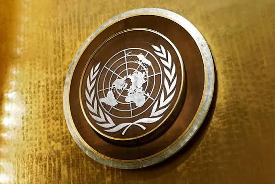 Розкрито деталі нападу: двоє миротворців ООН полягли в бою в Південному Судані