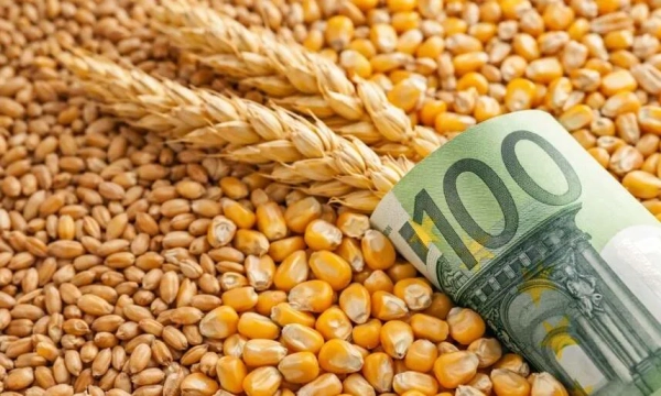 Україна коригує експортні ціни на агропродукцію та розробляє стратегію переробки: експертна оцінка