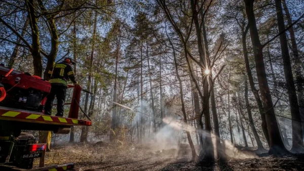 1800+ мешканців евакуювали: лісова пожежа загрожує селу біля кордону з Бельгією