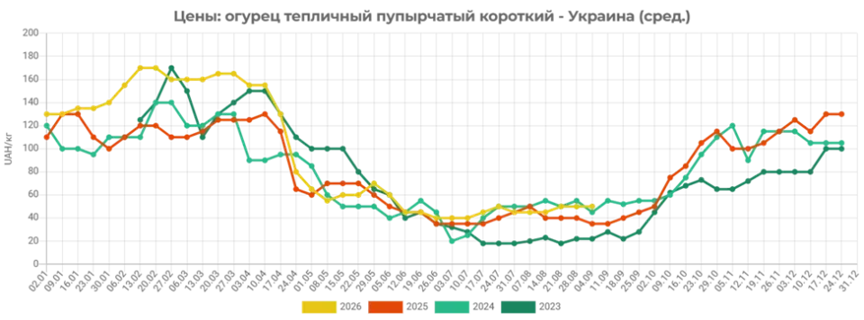 Огірки в Україні різко подорожчали