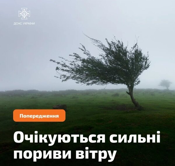 Штормове попередження: в Україні вируватиме сильний вітер