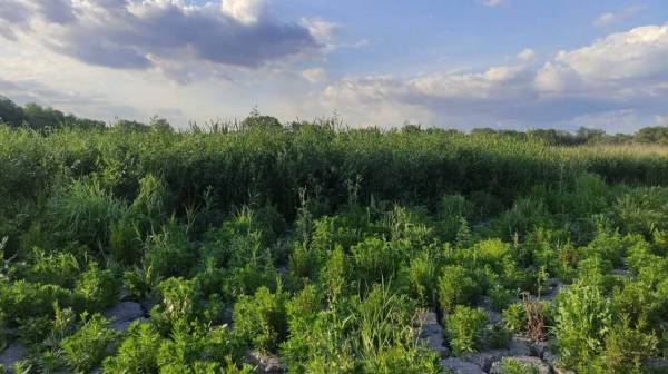 Росіяни пробивають шлях до Запоріжжя через осушене Каховське водосховище