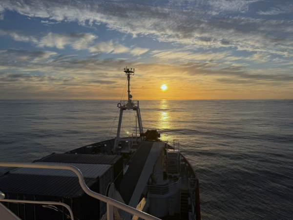 Дослідження у морі Ведделла