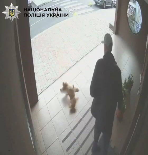 Киянина судитимуть за жорстоке поводження з цуценям