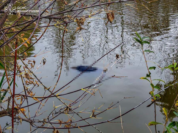 На Вінниччині рятувальники виявили тіло чоловіка у воді На Вінниччині рятувальники виявили тіло чоловіка у воді